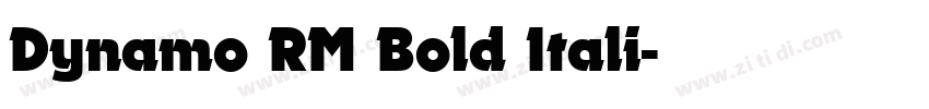 Dynamo RM Bold Itali字体转换